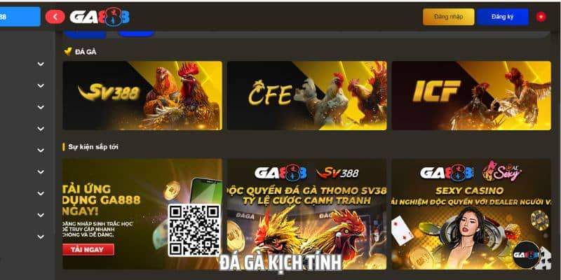 Sảnh cược đá gà tại đây đem đến các trận đấu trực tiếp Sảnh cược đá gà tại đây đem đến các trận đấu trực tiếp