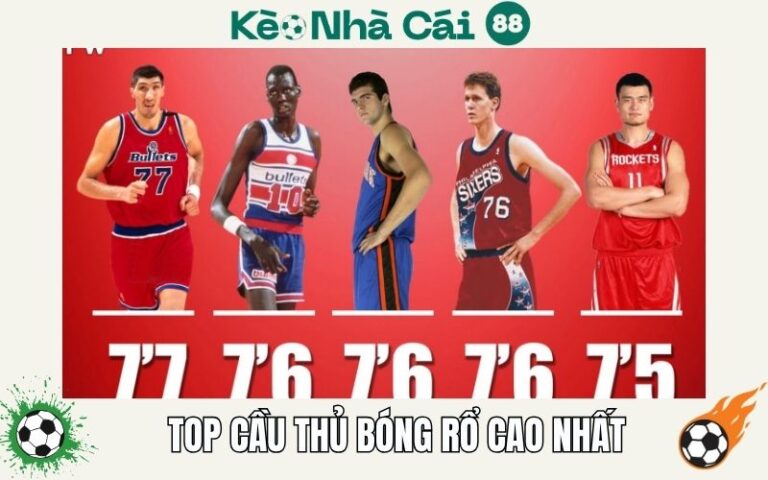 Top Cầu Thủ Bóng Rổ Cao Nhất Trong Lịch Sử - Những Con Ong Khổng Lồ 7 Top Cầu Thủ Bóng Rổ Cao Nhất Trong Lịch Sử - Những Con Ong Khổng Lồ